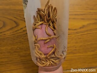 Aroused man inserts dick in a jar filled with worms