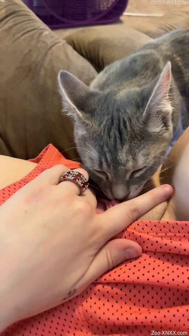 Naked female loves the cat licking her pussy in such fast manners