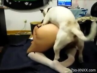 Dog humps naked woman in the pussy and makes her come