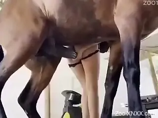 Naked female tries horse's giant dick in her shaved muff