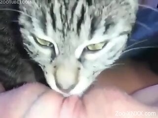 Erotic moments for a tight woman when the cat licks her pussy