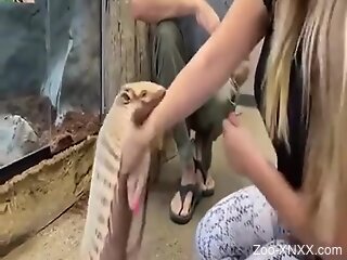 Blonde babe tries naughty perversions at the zoo