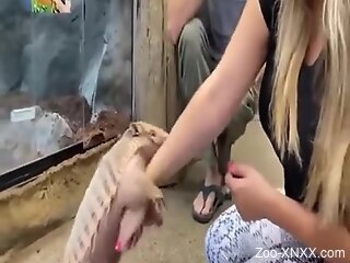 Blonde babe tries naughty perversions at the zoo