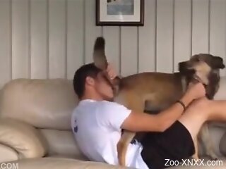 Clothed gay dude filmed trying the dog's cock in his mouth