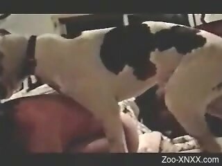 Dog fucks naked woman after she tries to give blowjob