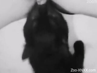 Small kitten licks woman's pussy and makes her feel great