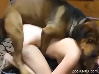 Home alone amateur chick tries the dog's dick in charming rounds