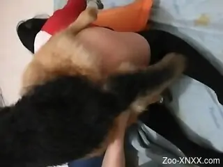 Homemade doggy-style zoo fuck with a shepherd