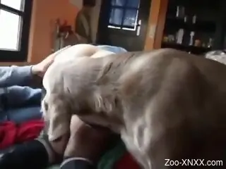 XXX zoophilia sex extravaganza with a dog
