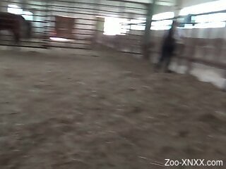 Nude woman filmed when she tries horse cock in both holes