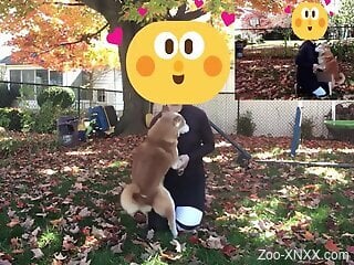 Clothed male wants to fool around with his dog in a sexual way
