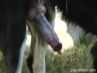 Hot blonde masturbates in the backyard and tries dog oral sex