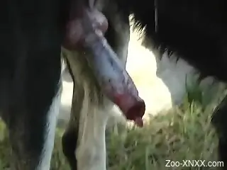 Hot blonde masturbates in the backyard and tries dog oral sex
