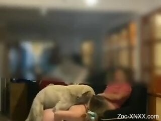 Fine couple shares zoo porn experience in a mutual play