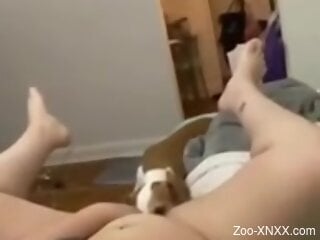 Chubby female masturbates while the dog licks her fat pussy