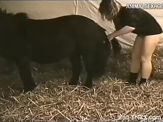 Sexy MILF in hot lingerie fucks with animals on camera