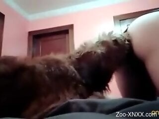 Sexy ass female enjoys how the dog licks her wet holes