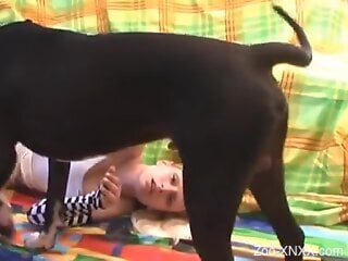 Hot blonde and her friend share a dog dick in home kinks