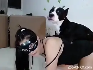 Needy MILF cam fucked by the dog in rough zoophilia scenes