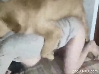 Busty chick is having doggy-style zoo sex
