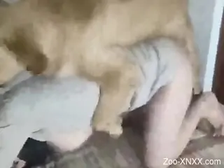 Busty chick is having doggy-style zoo sex