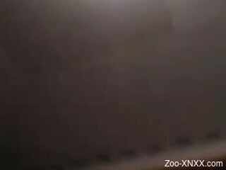 Tight female loudly moans for more while the dog fucks her