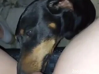 Dog licks woman's wet pussy until she comes harder than ever