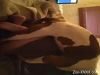 Dog fucks naked woman so good that she starts to come