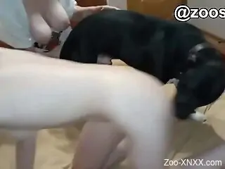 Busty lesbian models pose hot when they fuck with the dog
