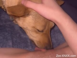 Naked woman loudly plays with the dog in sexy perversions