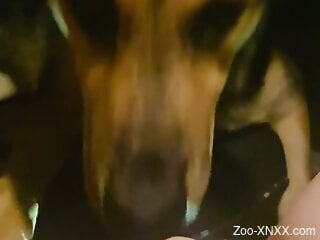 Dog makes woman feel amazing by licking her precious cunt