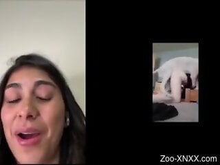 Brunette hottie feels aroused when watching online zoo porn