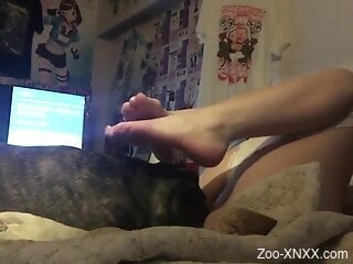 Dog licks woman's wet cunt and makes her come big time