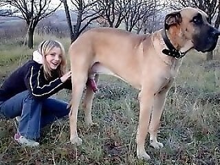 Animal porn and bestiality