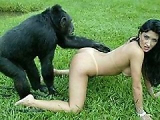 Hot Beast Sex