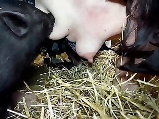 XXX Zoo