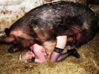 Zoo porn and zoo sex video