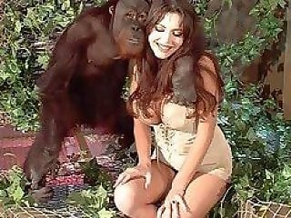 Animals XNXX