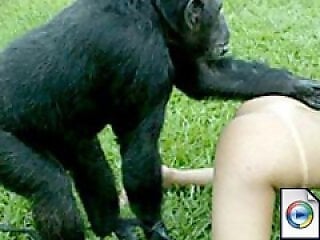 Beast Sex
